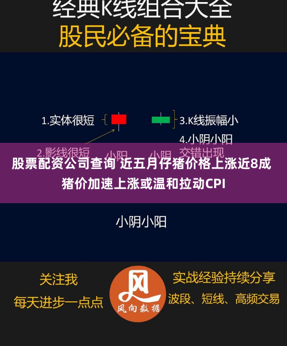 股票配资公司查询 近五月仔猪价格上涨近8成 猪价加速上涨或温和拉动CPI