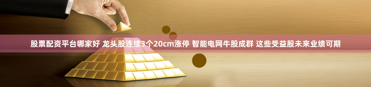 股票配资平台哪家好 龙头股连续3个20cm涨停 智能电网牛股成群 这些受益股未来业绩可期