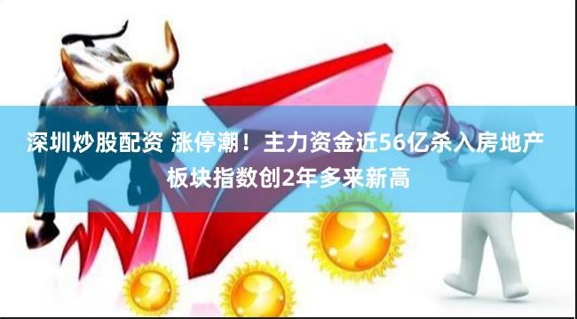 深圳炒股配资 涨停潮！主力资金近56亿杀入房地产 板块指数创2年多来新高
