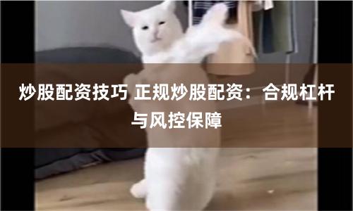 炒股配资技巧 正规炒股配资：合规杠杆与风控保障