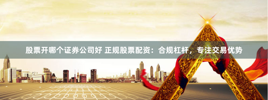 股票开哪个证券公司好 正规股票配资：合规杠杆，专注交易优势