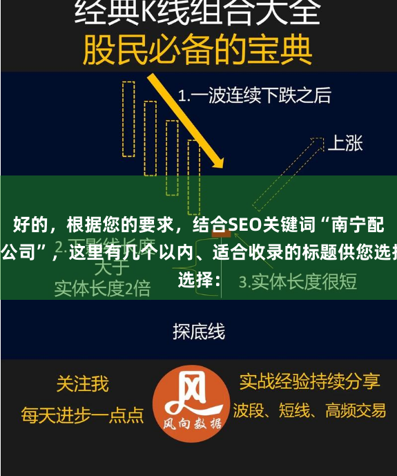 好的，根据您的要求，结合SEO关键词“南宁配资公司”，这里有几个以内、适合收录的标题供您选择：