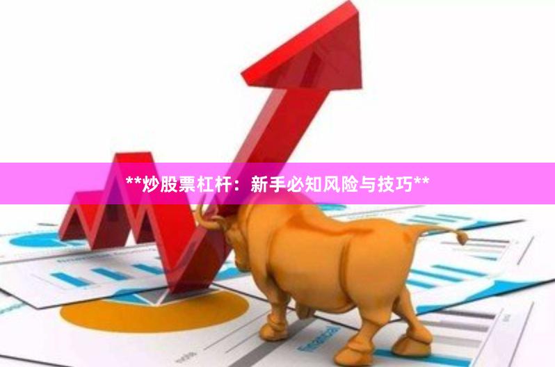 **炒股票杠杆：新手必知风险与技巧**